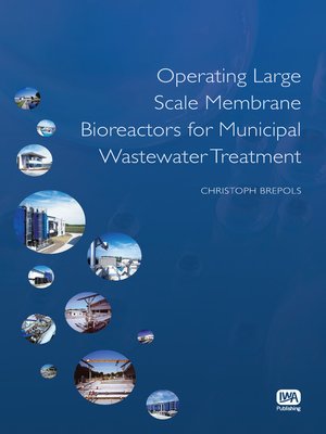 cover image of Online Methods for Evaluating the Safety of Reclaimed Water